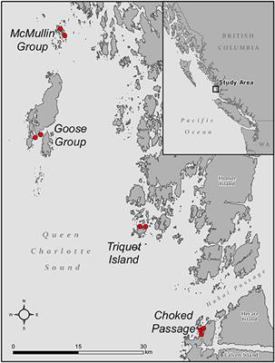 Host-Specificity and Core Taxa of Seagrass Leaf Microbiome Identified Across Tissue Age and Geographical Regions
